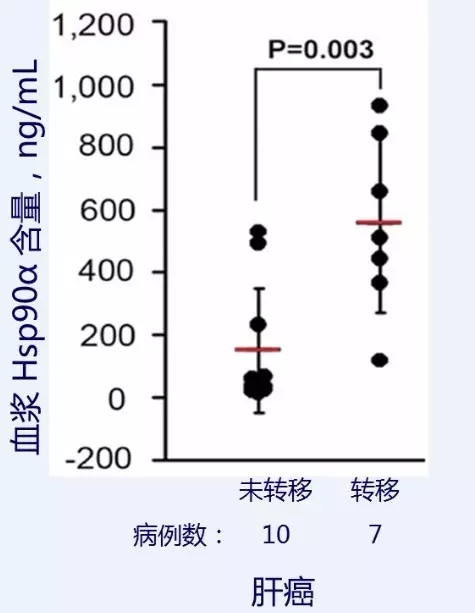 1.webp.jpg