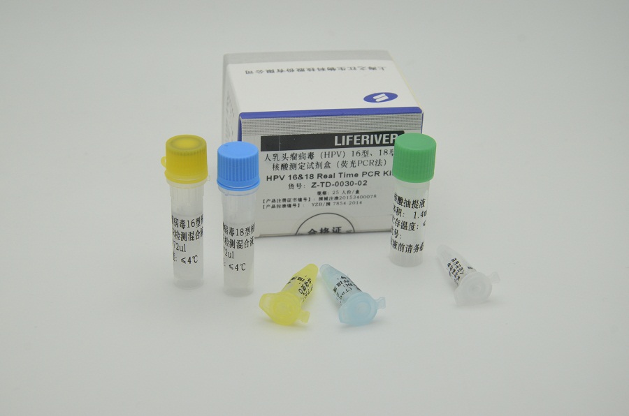 ͼ-HPV.JPG