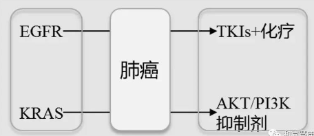 精准医疗文内图1.png