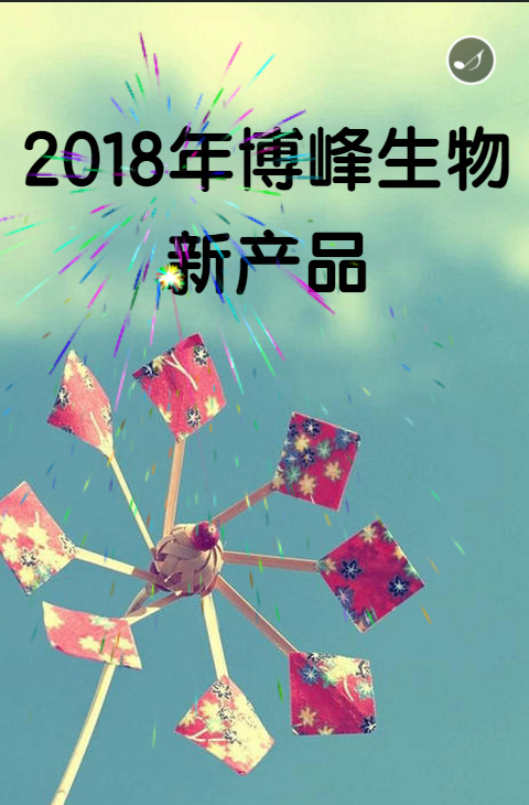 12.png