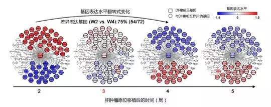 ͼһ.webp.jpg