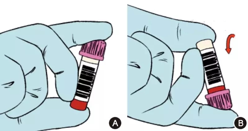 8.webp.jpg