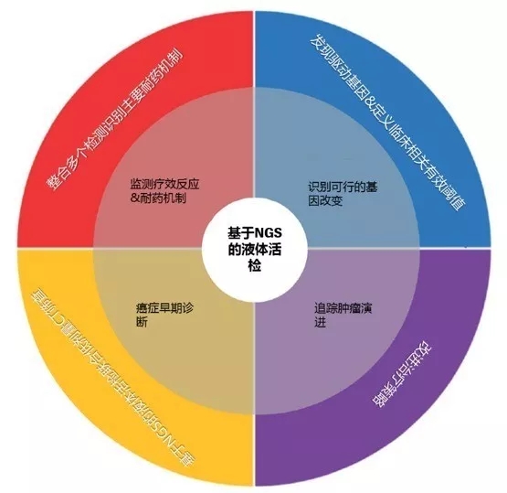 2.webp.jpg