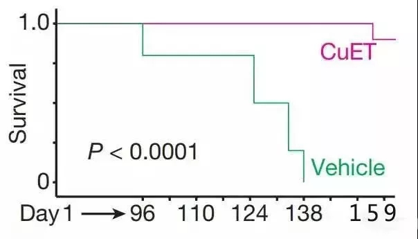 5.webp.jpg
