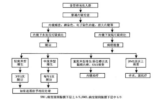 luoji 2.webp.jpg
