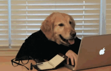 图1.gif