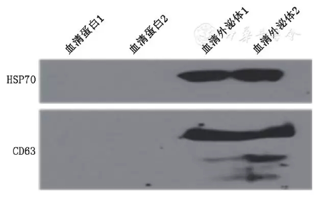 ͼ5.webp.jpg