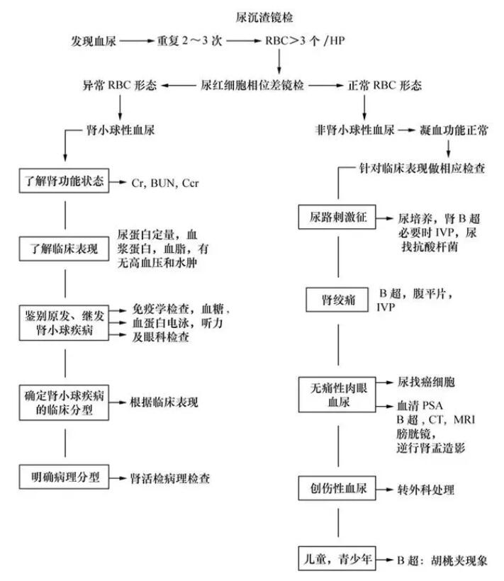 QQͼ20190509105918.jpg