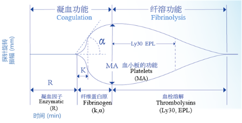 血栓弹力图意义图片