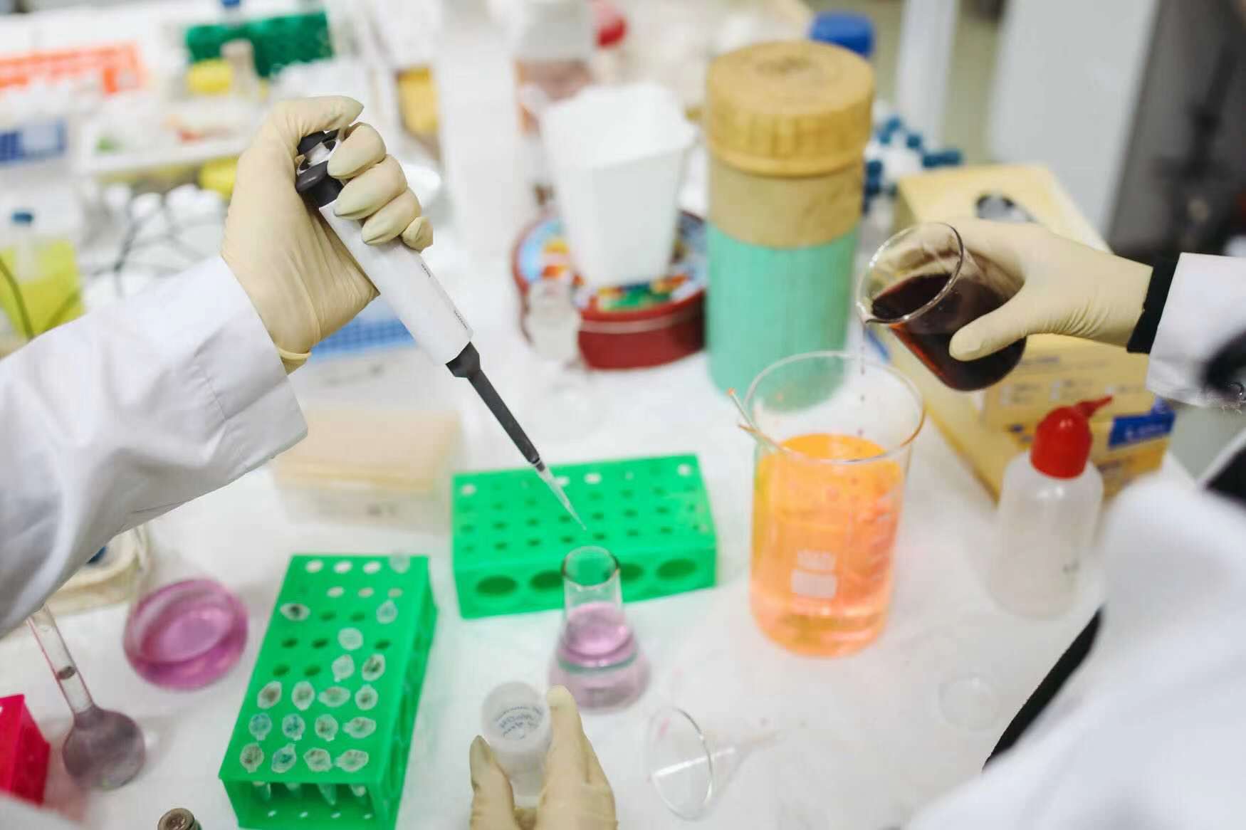 FDA Grants EUAs for SARS-CoV-2 Tests, Kits From Exact Sciences, BioGx, Bio-Rad, Everlywell