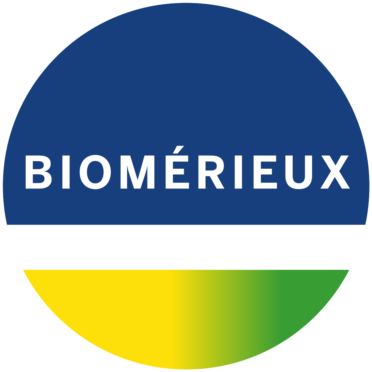 BioMrieux Q4 Revenues up 11 Percent