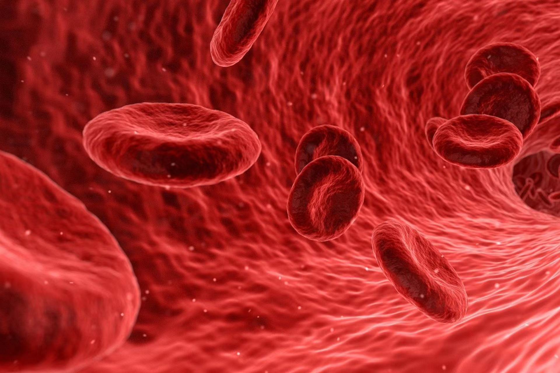 Juntendo University, Sysmex, and ThinkCyte Collaborating on Tests, Treatments for CML