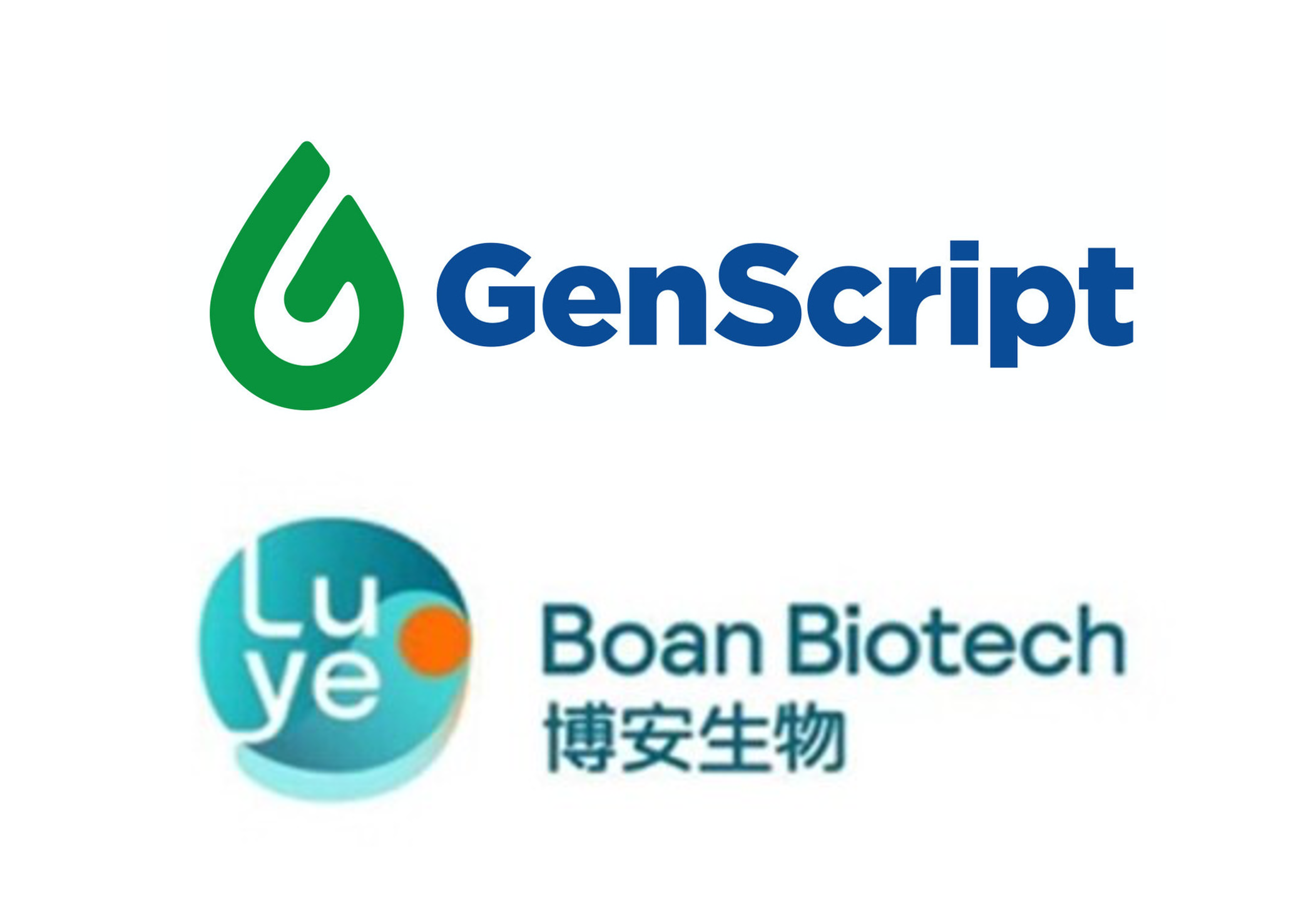 Focus on innovative non-viral cellular therapies! GenScript Biotech and Boan Biotech enter into a strategic partnership