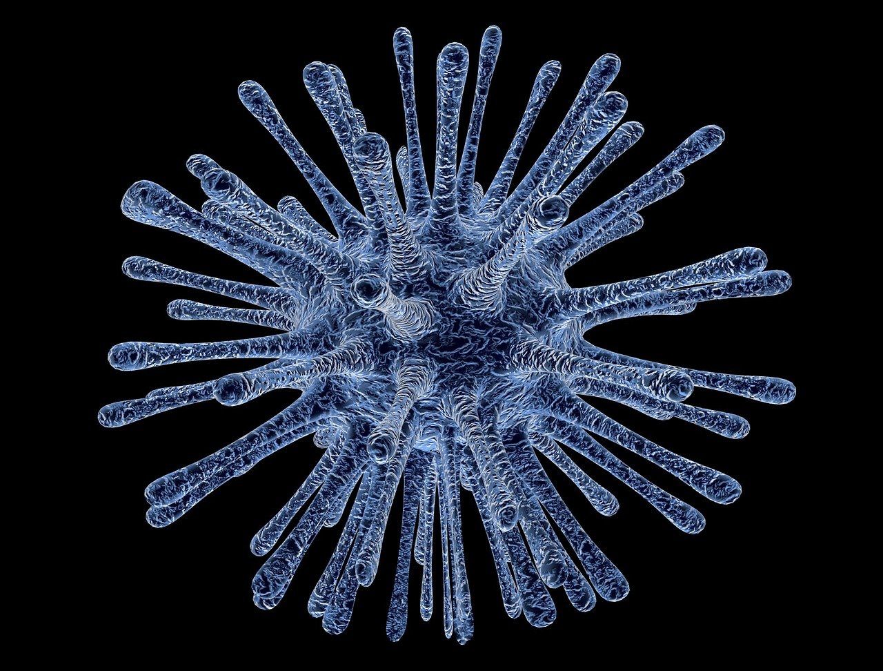 Global Infectious Disease Diagnostic Testing: Market Size and Trends