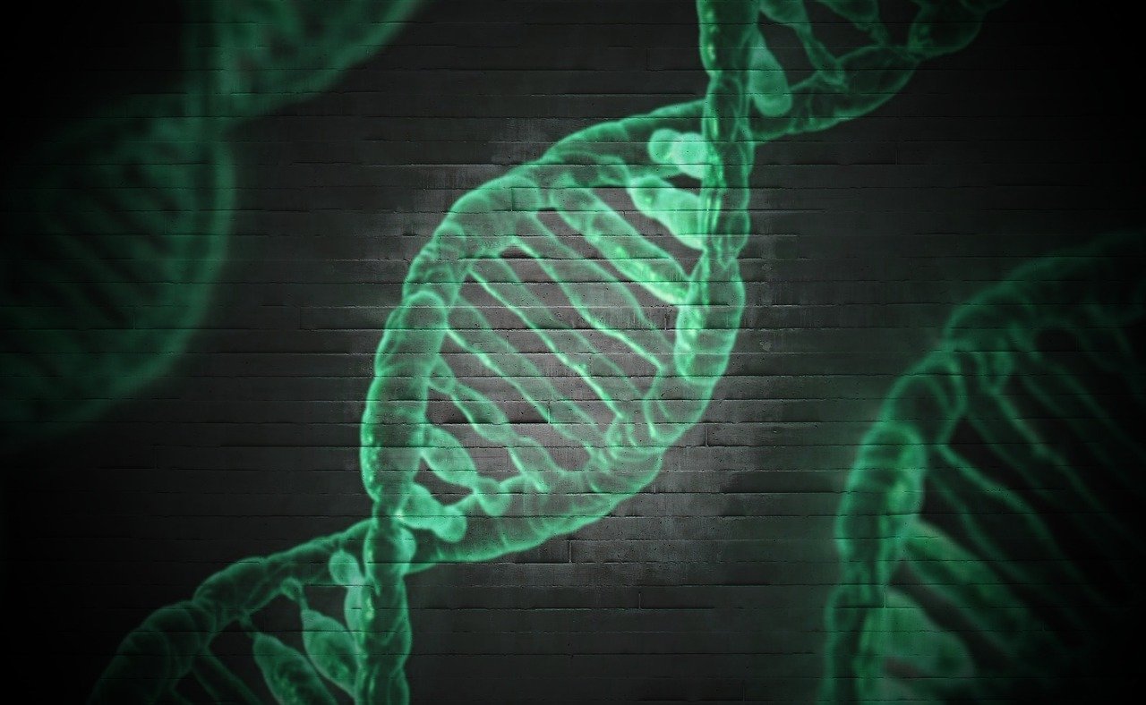 Analysis of the Chinese Molecular Diagnostics Market in 2023