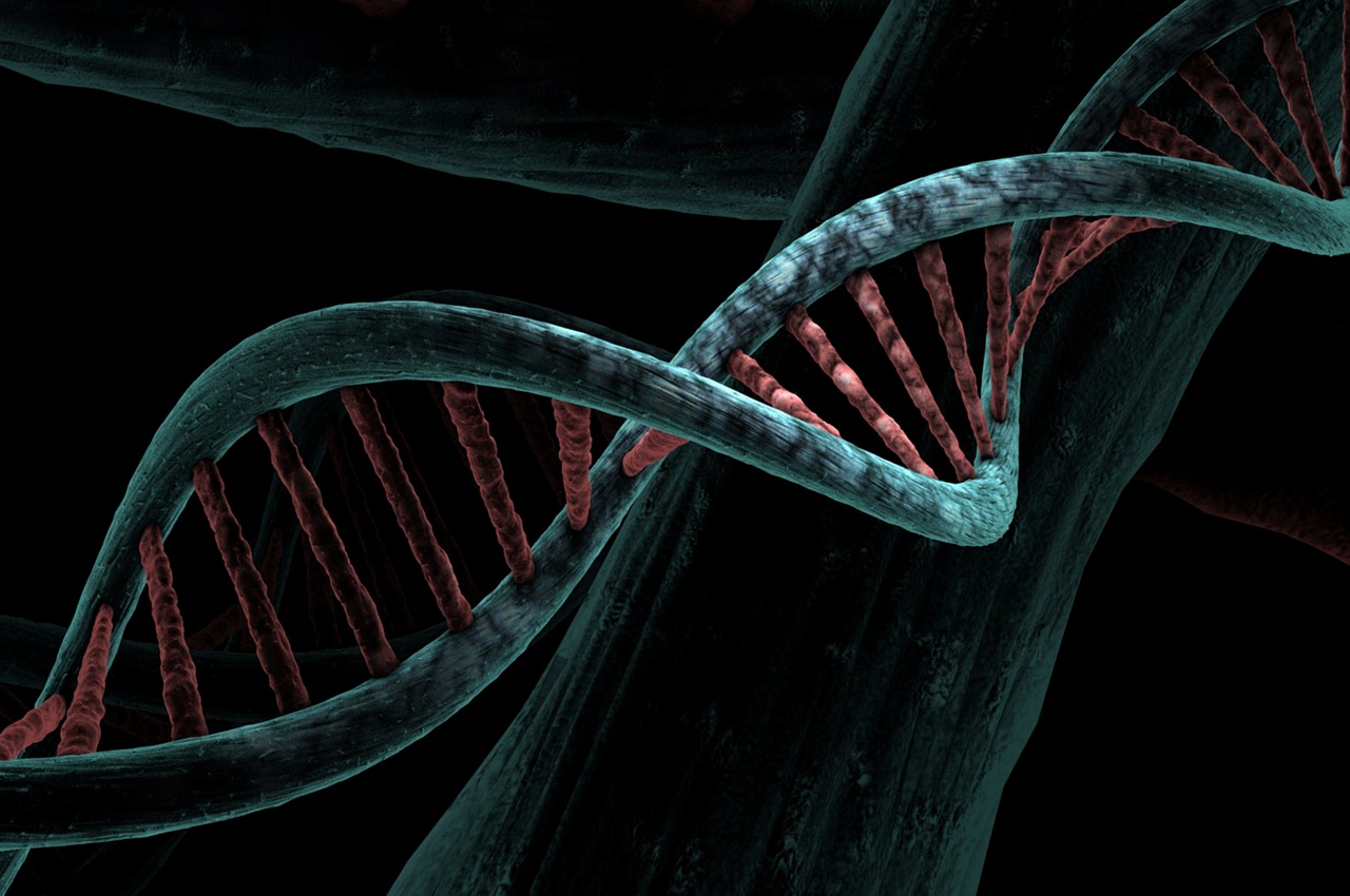 Mitochondrial DNA Damage May Serve as Biomarker of Parkinson's Diseasea