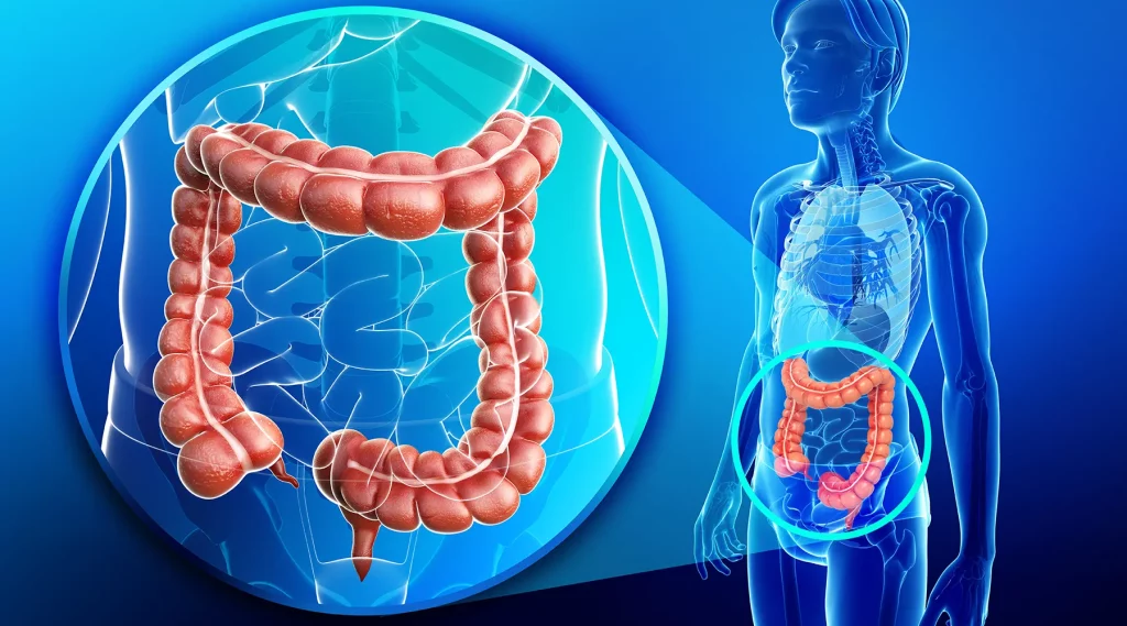 Chinas National Health Commission Releases the 2024 Edition of Early Diagnosis and Treatment for Colorectal Cancer