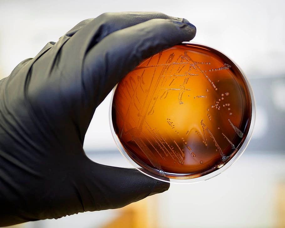 HTG Molecular Signs Three European Distribution Agreements 