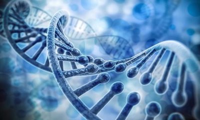 The laboratory was revealed serious problems