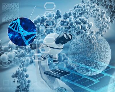 ALK Gene Linked to Natural Thinness in Genetic, Functional Studies