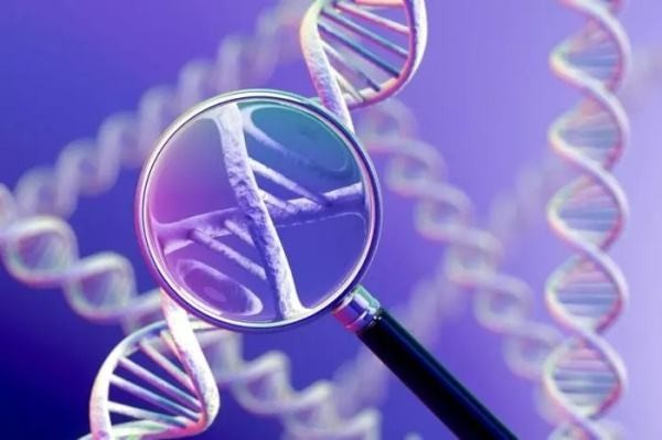 NIMBLE Could Make Liver Biopsy For Diagnosing NASH Obsolete