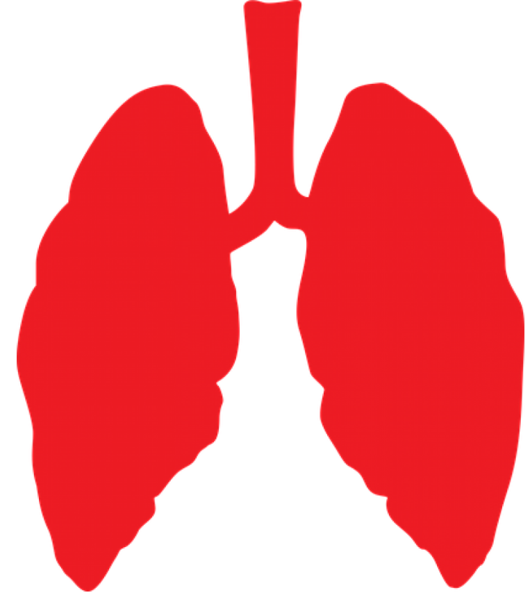 Biodesix Looks to Become the Lung Cancer Detection Co. With New Acquisition