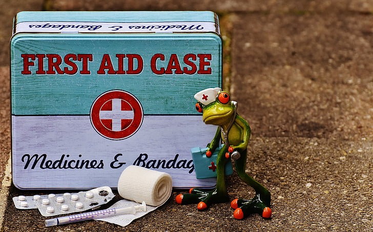 Maintaining GMPs During a Global Emergency