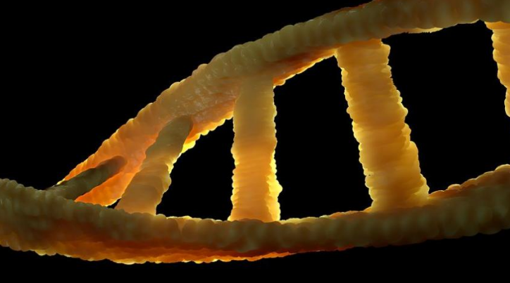 Qiagen and Illumina in It for the Long Haul with 15-year Collaboration