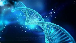 HTG Molecular Diagnostics to Publicly Offer Shares