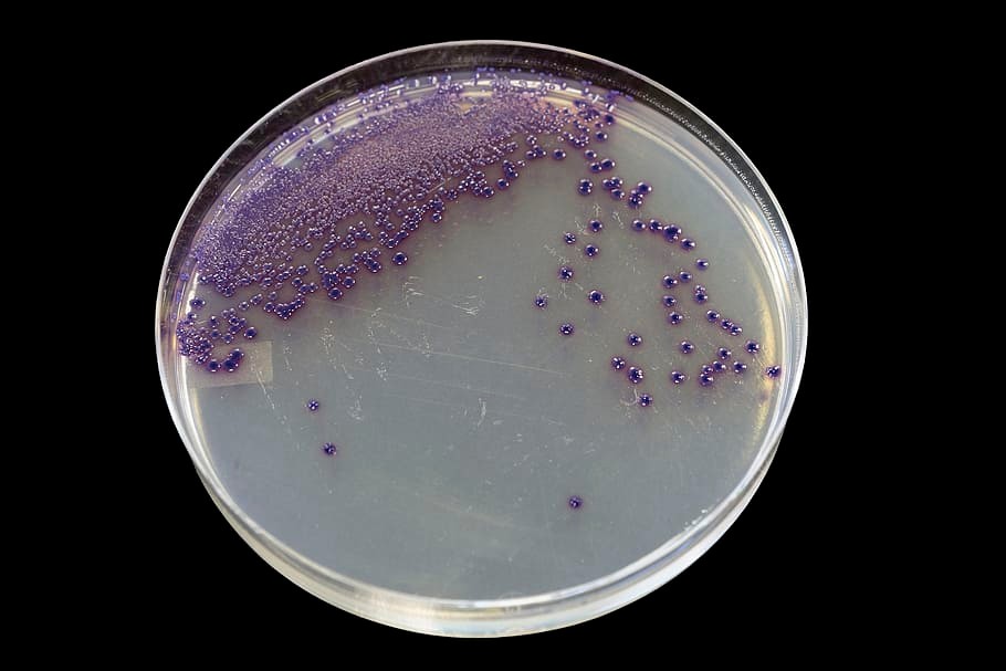 'Very Fast' CRISPR Enables Immediate, Synchronous Cleavage of Genomic Sites