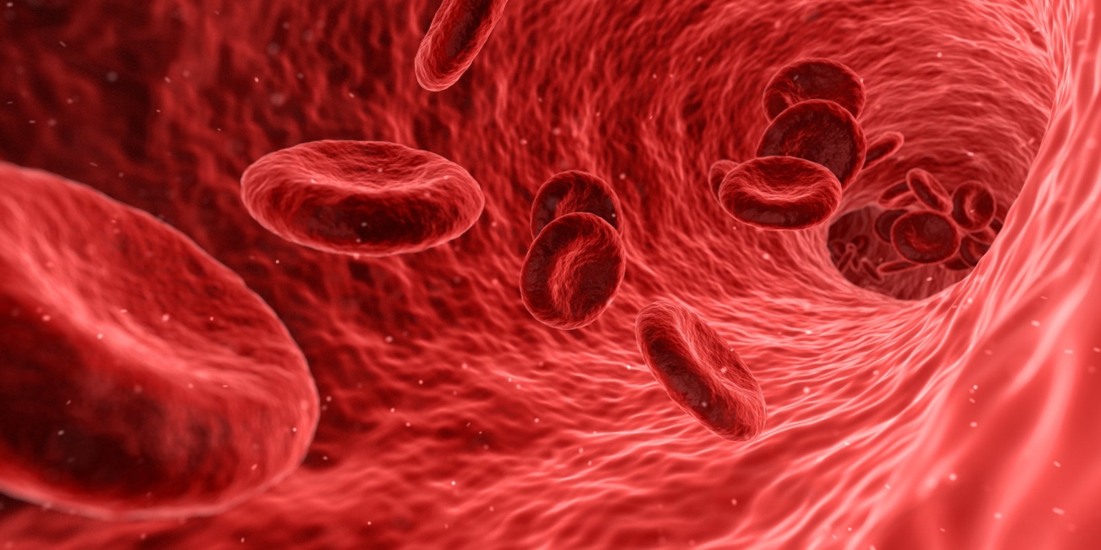 Convalescent Plasma Receives Emergency Authorization Use by FDA for COVID-19